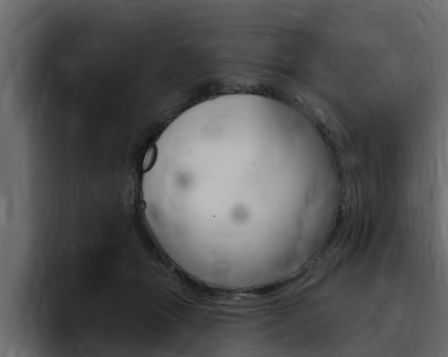 X0000095550463200712140939