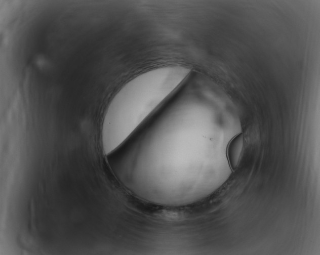 X0000095550464200712140939