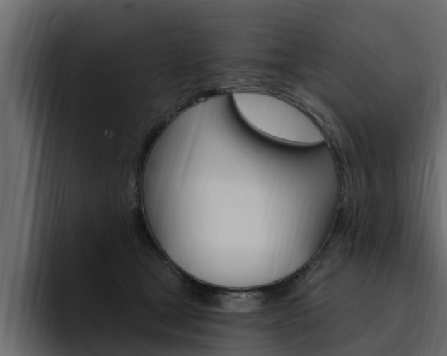 X0000095550465200712140939