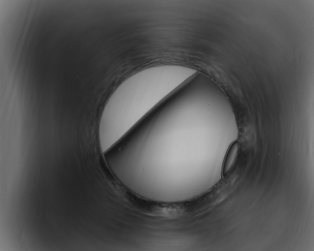 X0000095550466200712140939