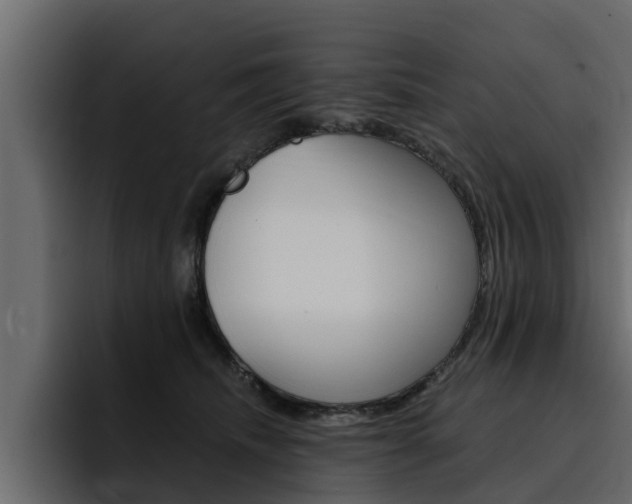 X0000095550468200712140939