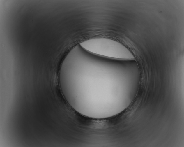 X0000095550469200712140939