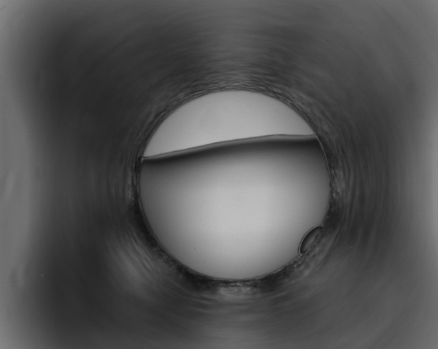 X0000095550470200712140939