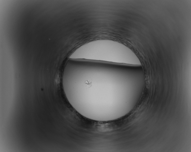 X0000095550472200712140939
