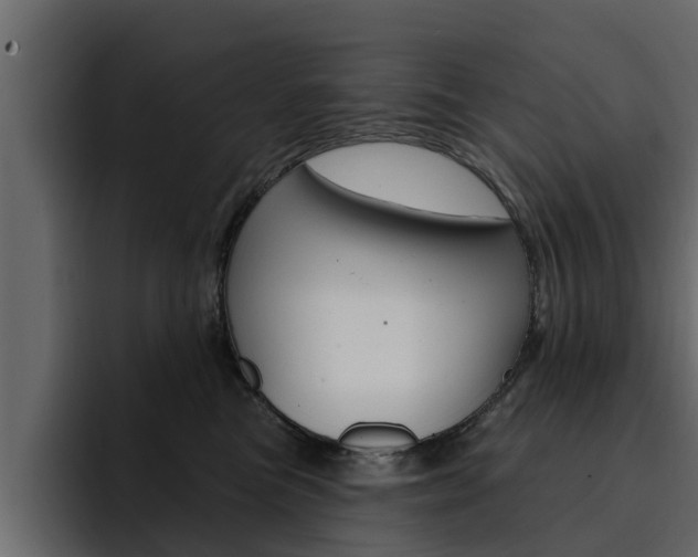 X0000095550473200712140939