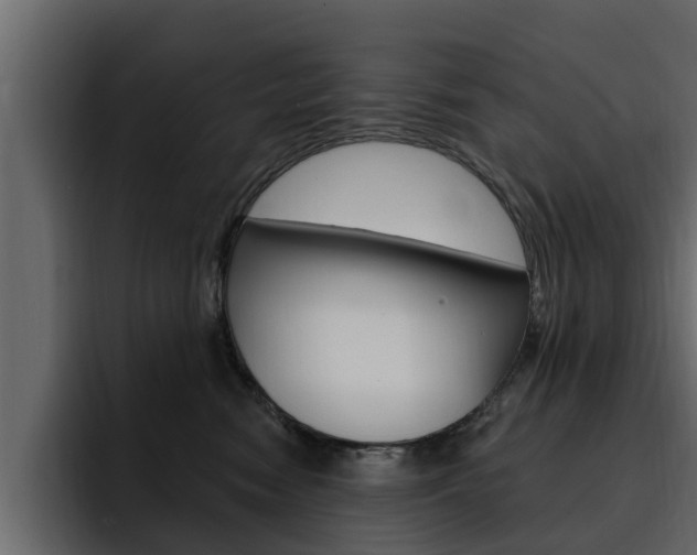 X0000095550474200712140939