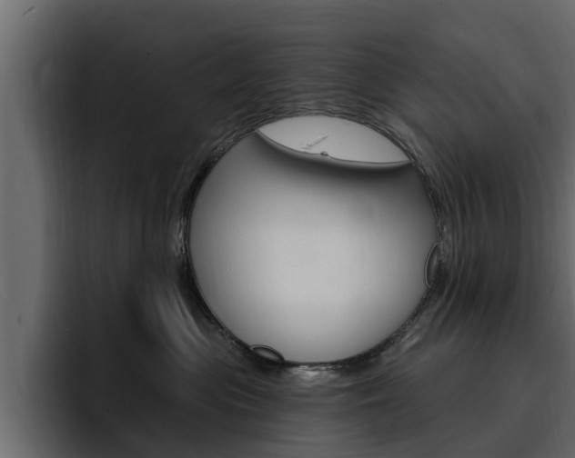 X0000095550477200712140939