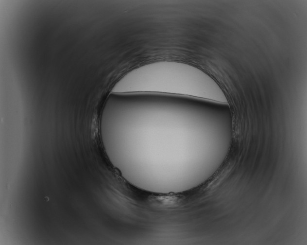 X0000095550478200712140939