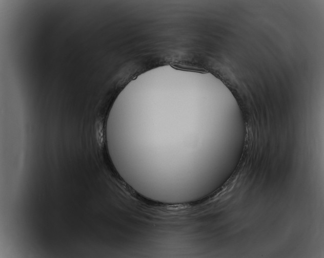 X0000095550479200712140939