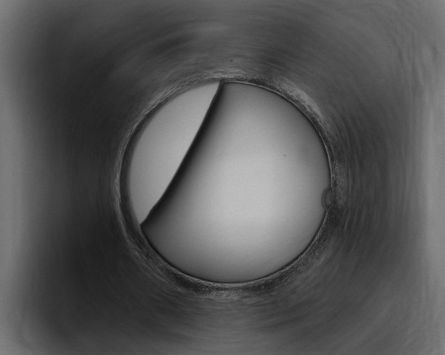 X0000095550482200712140938