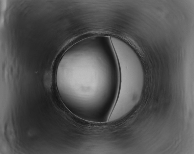 X0000095550484200712140938