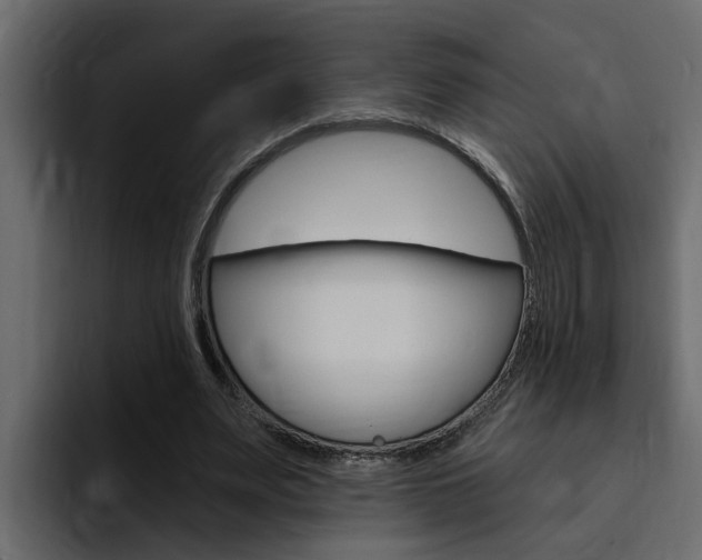 X0000095550487200712140938