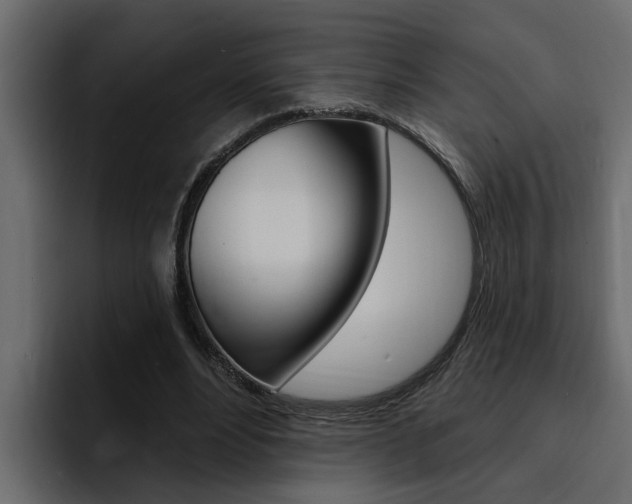 X0000095550488200712140938