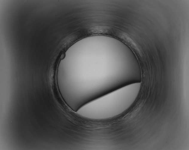 X0000095550490200712140938