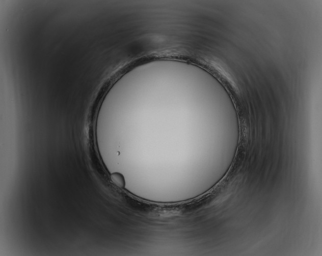 X0000095550491200712140938
