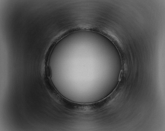 X0000095550492200712140938