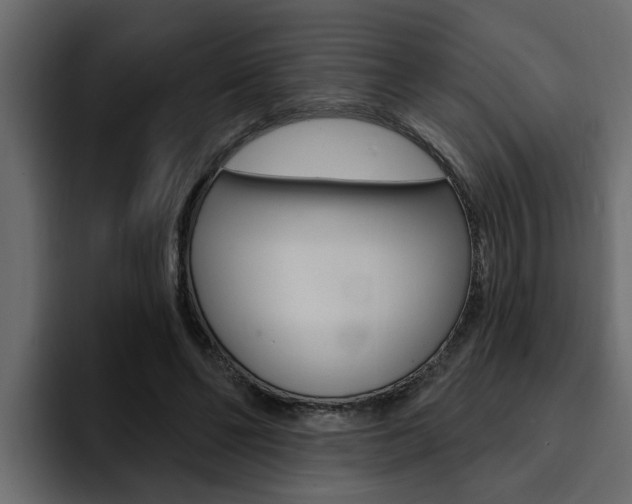X0000095550494200712140938