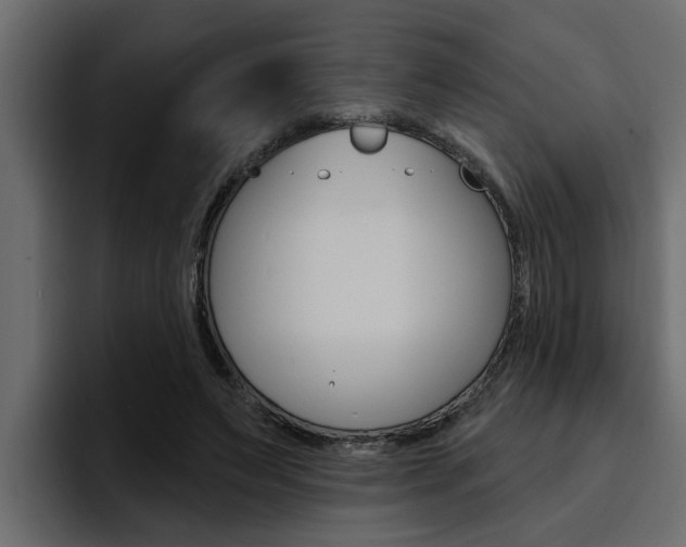 X0000095550495200712140938