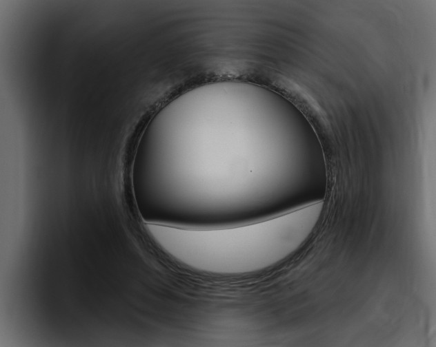 X0000095550496200712140938
