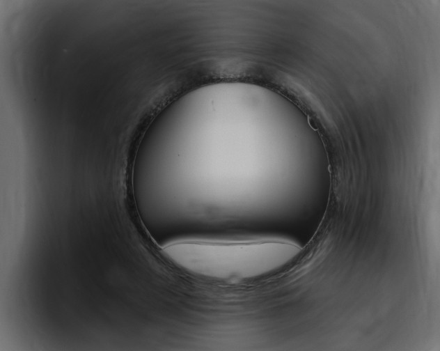 X0000095550497200712140938