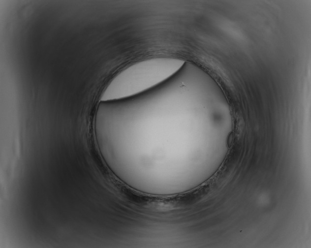 X0000095550498200712140938