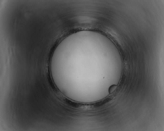 X0000095550499200712140938