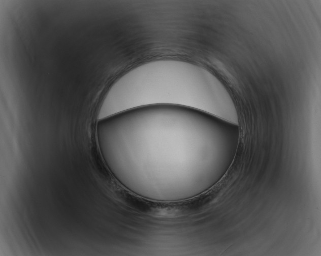 X0000095550500200712140938
