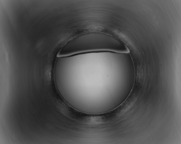 X0000095550501200712140938