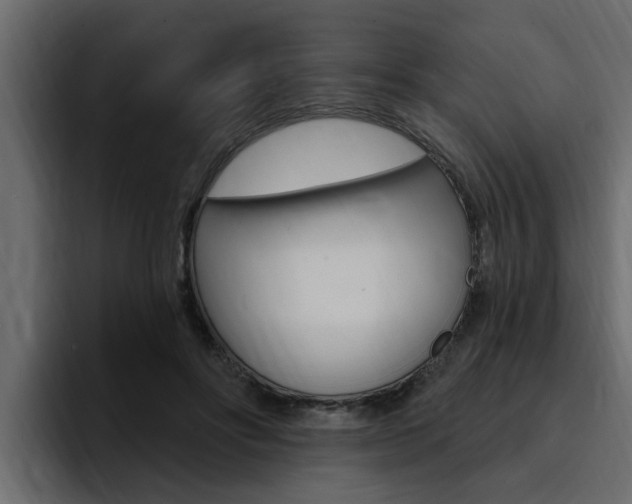 X0000095550502200712140938