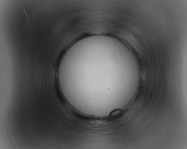 X0000095550503200712140938