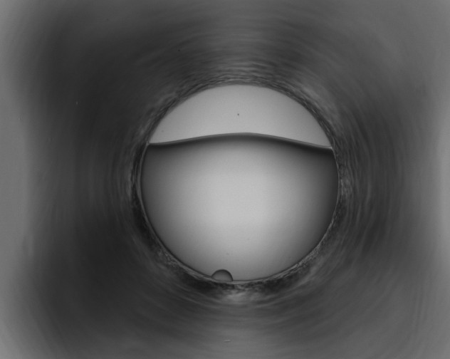 X0000095550504200712140938