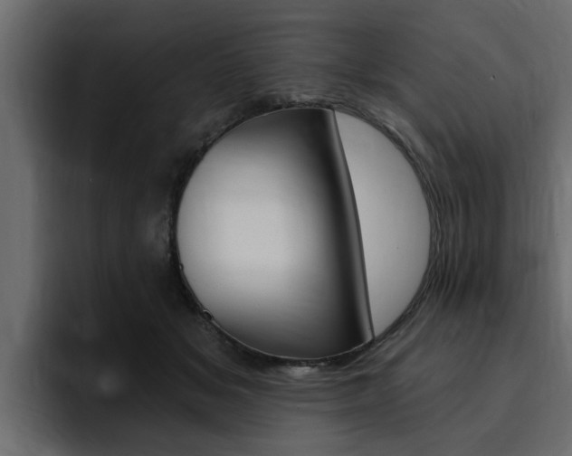 X0000095550509200712140938