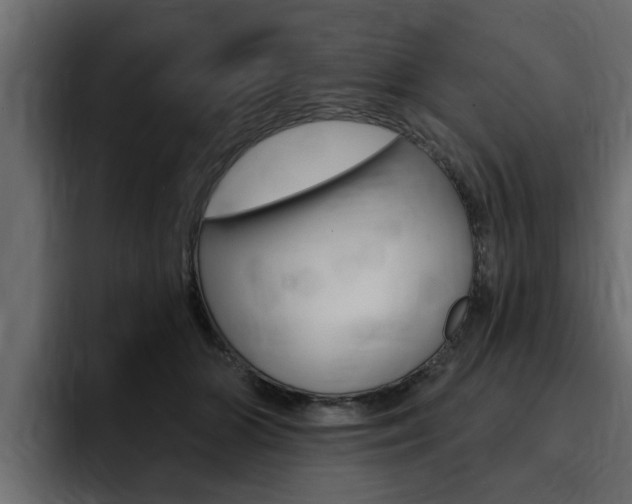 X0000095550510200712140938
