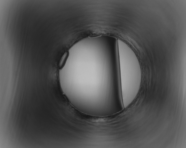 X0000095550513200712140938
