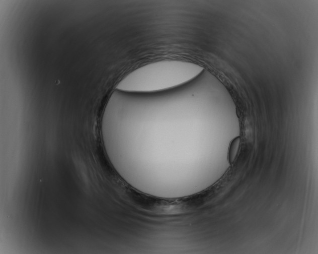 X0000095550514200712140938