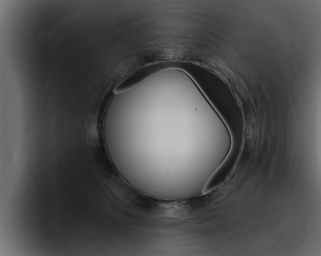 X0000095550516200712140938