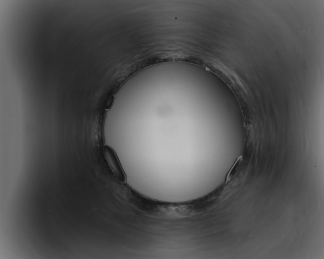 X0000095550517200712140938