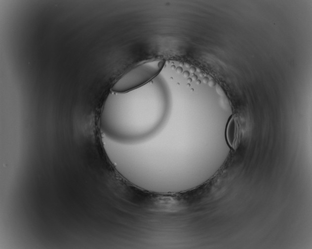 X0000095550519200712140938