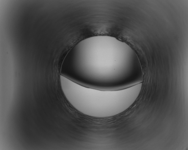 X0000095550521200712140938