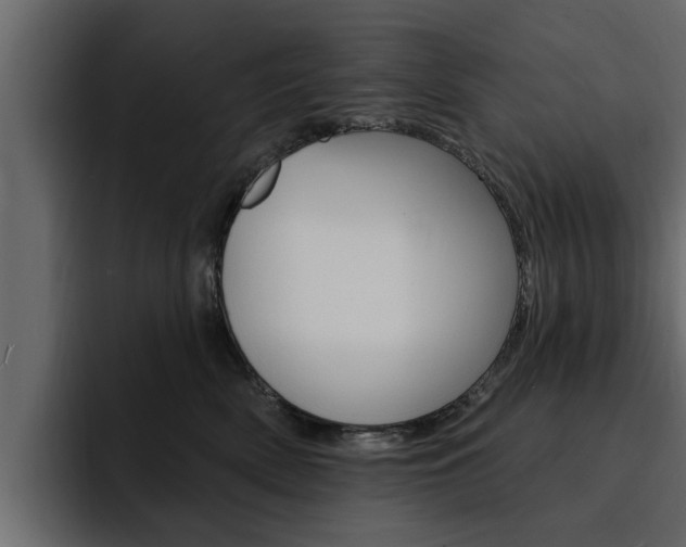 X0000095550522200712140938