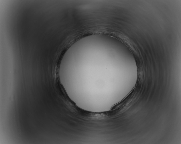 X0000095550525200712140938