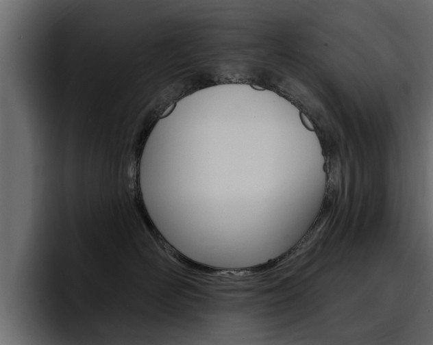 X0000095550526200712140938