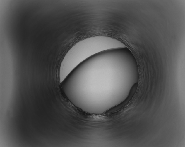 X0000095550528200712140938