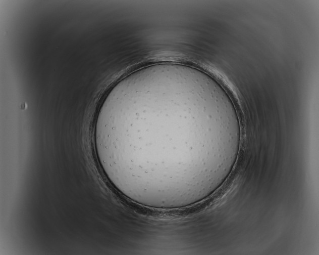 X0000095550529200712140937