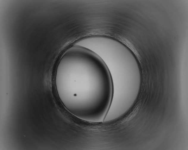X0000095550530200712140937