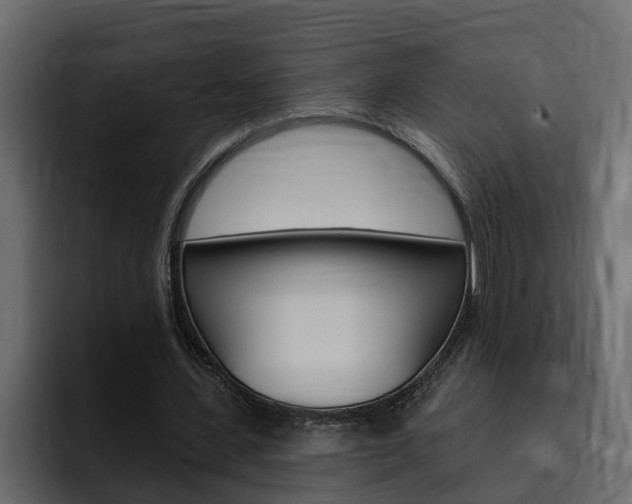 X0000095550531200712140937