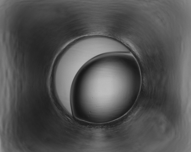 X0000095550532200712140937