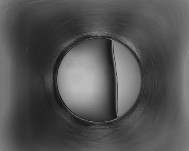 X0000095550535200712140937