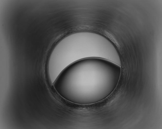 X0000095550538200712140937