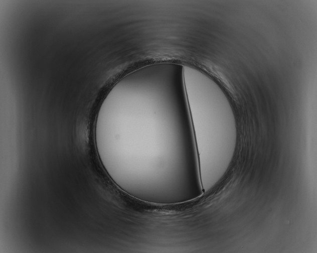 X0000095550539200712140937